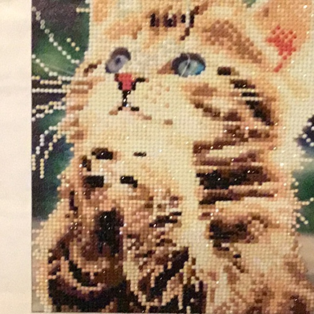 Diamond paint of a praying cat